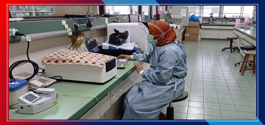 ITD Unair Ungkap Potensi Zingiberaceae Sebagai Obat Anti-HIV ITD Unair Ungkap Potensi Zingiberaceae Sebagai Obat Anti-HIV